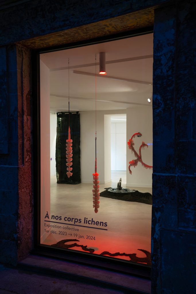 1 À nos corps lichens, Exhibition view #1 © Gregg Bréhin : Scroll Galerie
