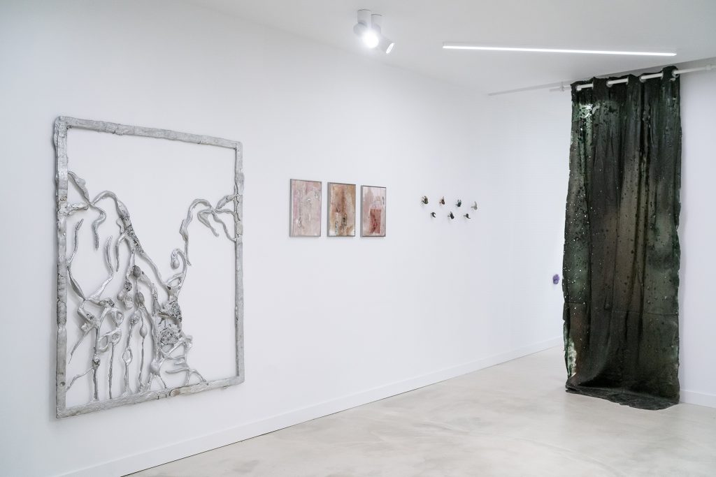 11 À nos corps lichens, Exhibition view #5 © Gregg Bréhin : Scroll Galerie